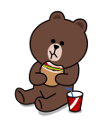 brown_and_cony-4