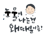 jejucalli_04-12